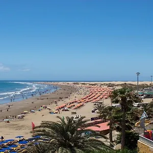 https://la-gema-del-sur.in-canary-islands.com